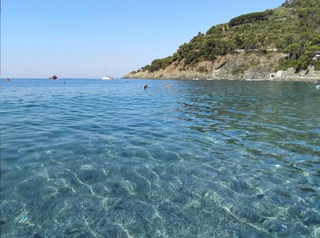 Nido Al Mare Daire Bonassola Dış mekan fotoğraf