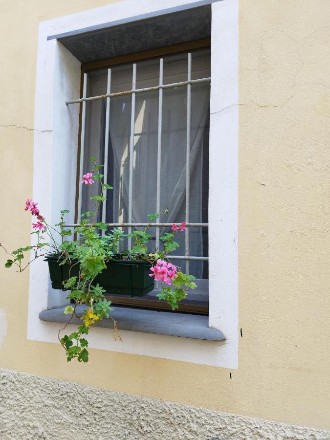 Nido Al Mare Daire Bonassola Dış mekan fotoğraf