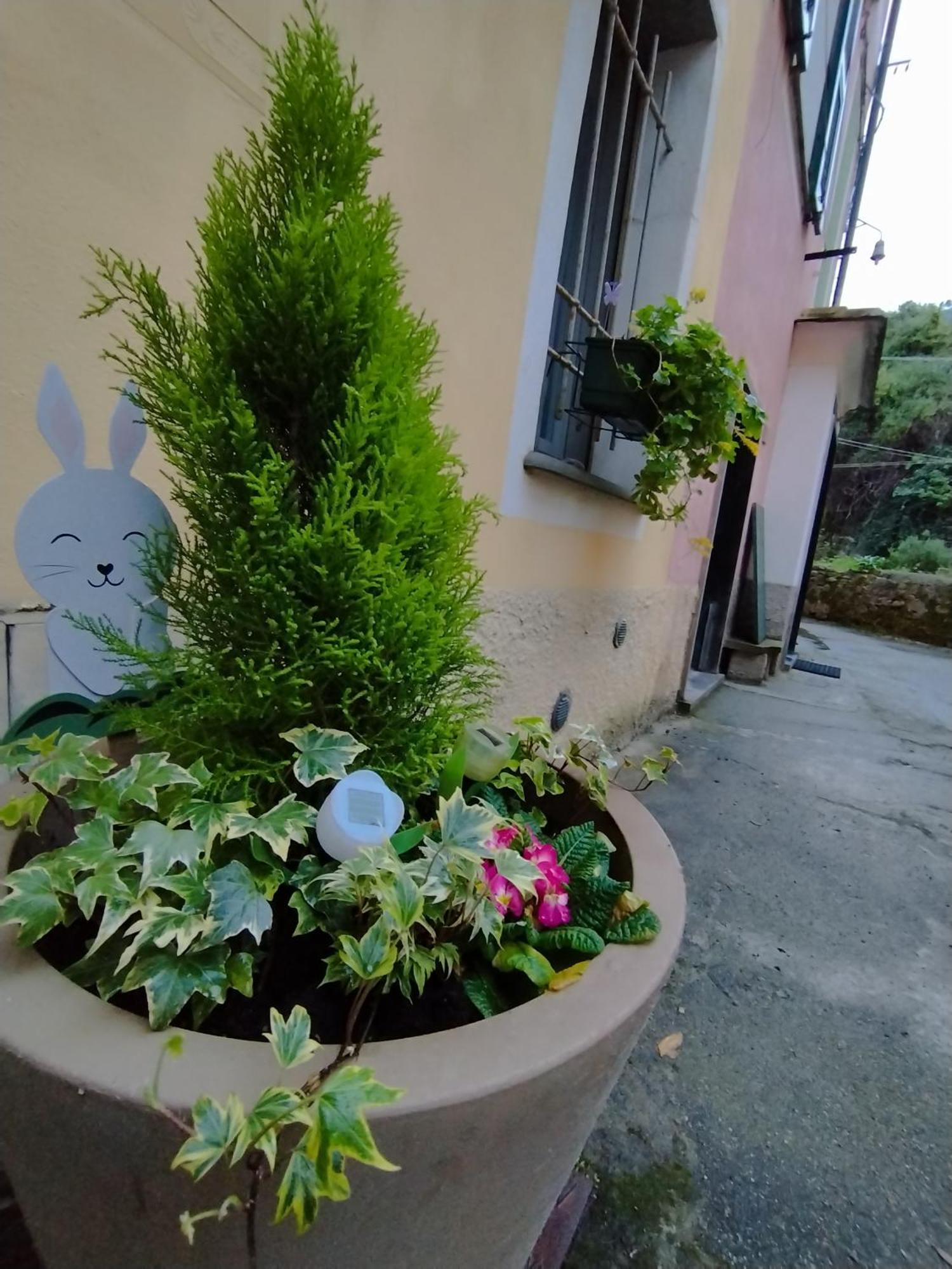 Nido Al Mare Daire Bonassola Dış mekan fotoğraf
