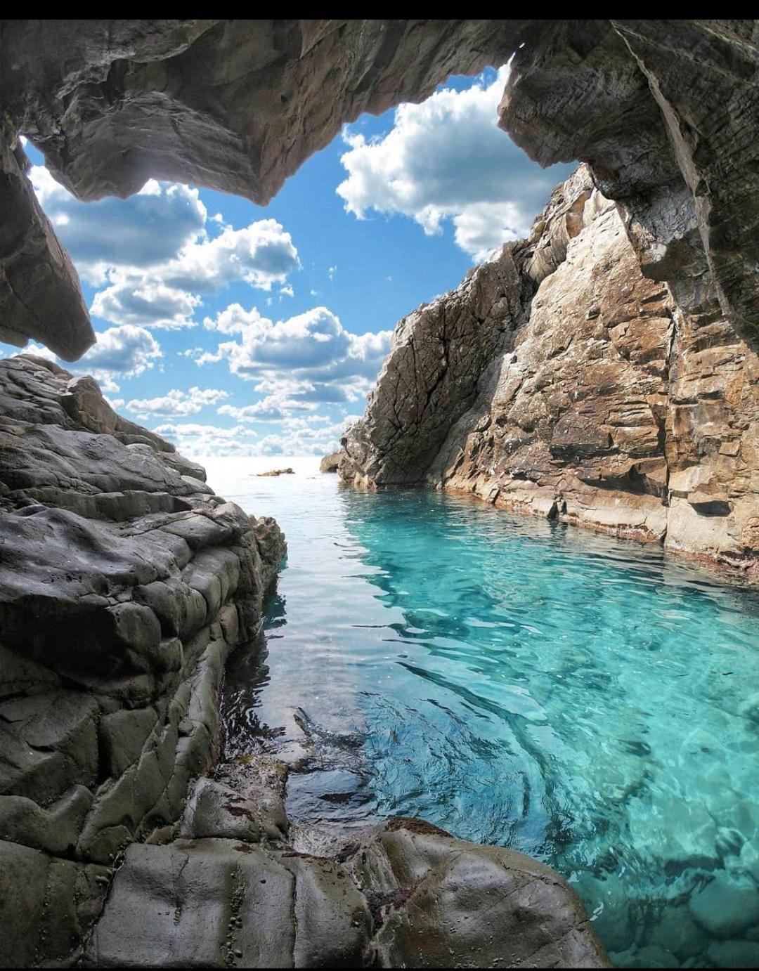 Nido Al Mare Daire Bonassola Dış mekan fotoğraf