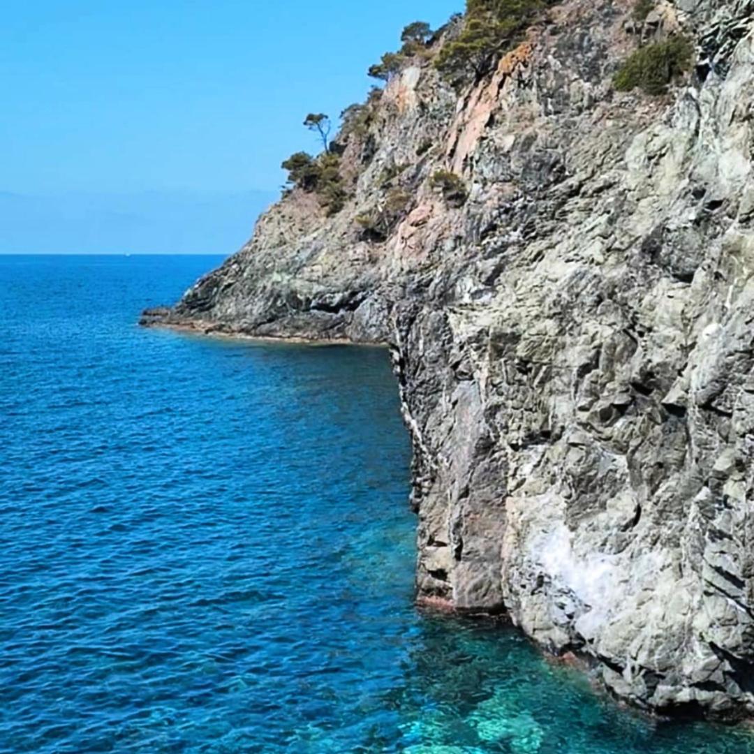 Nido Al Mare Daire Bonassola Dış mekan fotoğraf