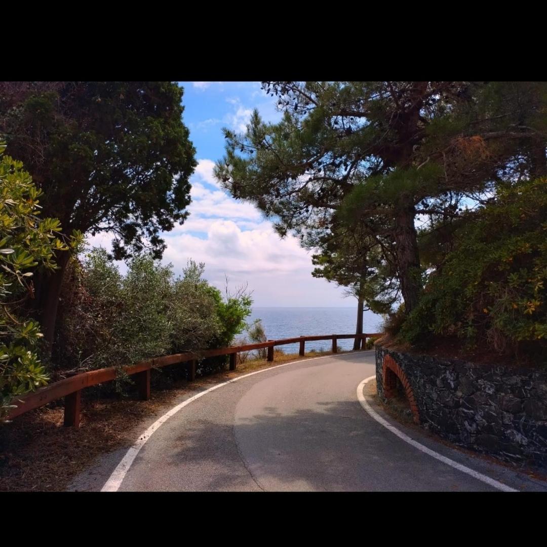 Nido Al Mare Daire Bonassola Dış mekan fotoğraf