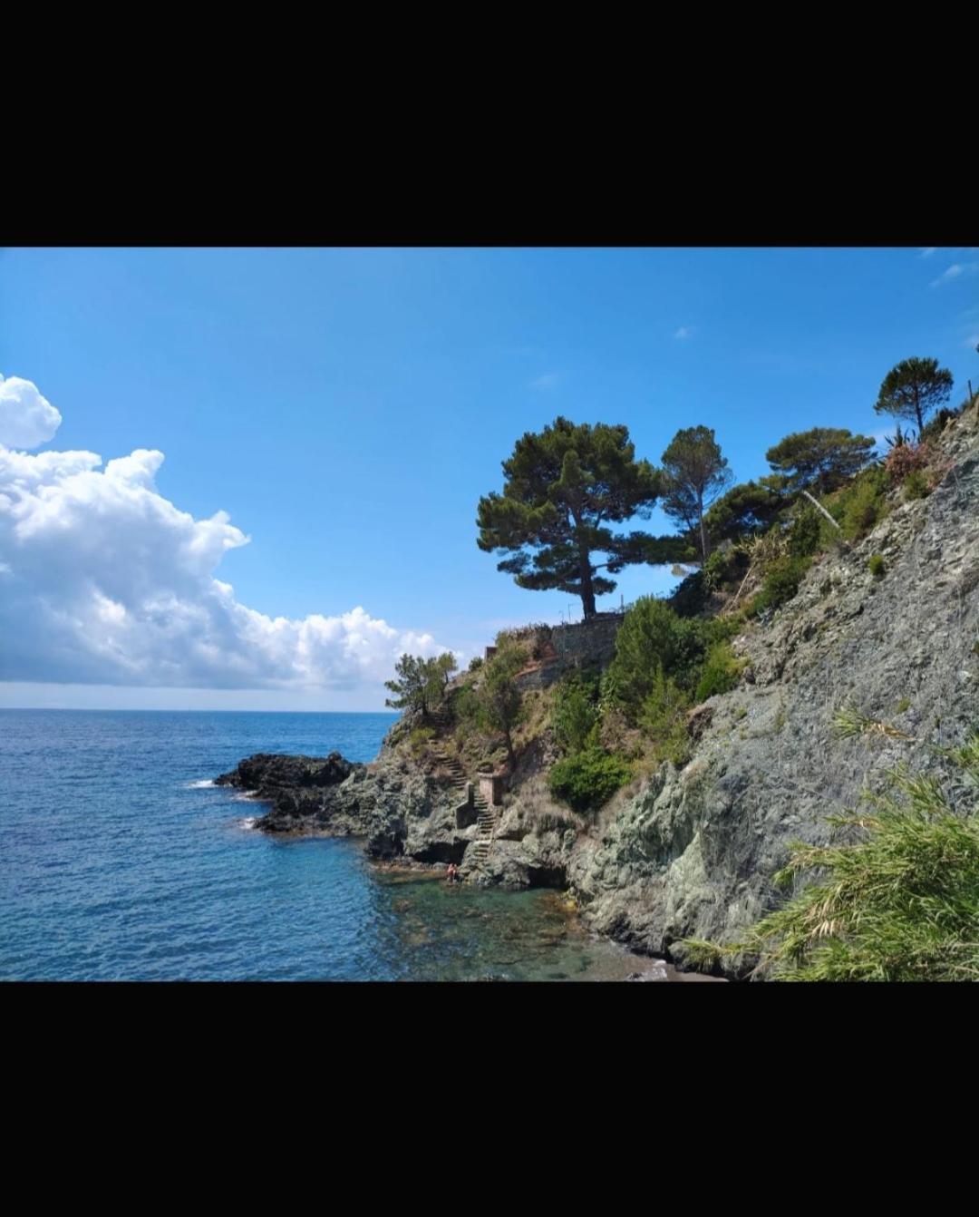 Nido Al Mare Daire Bonassola Dış mekan fotoğraf