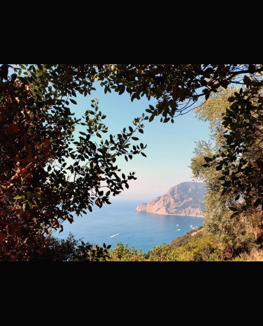 Nido Al Mare Daire Bonassola Dış mekan fotoğraf